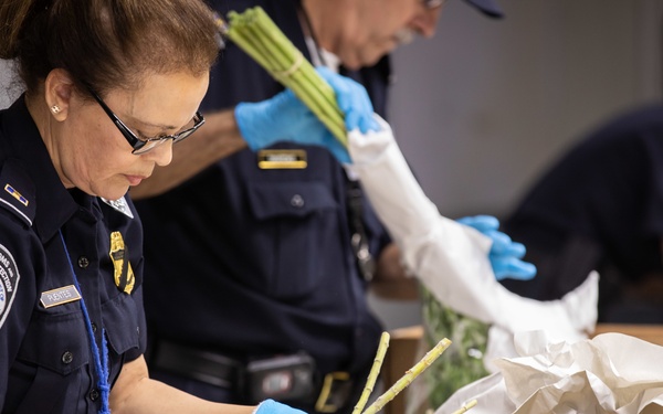 CBP agriculture specialist inspects cut flowers