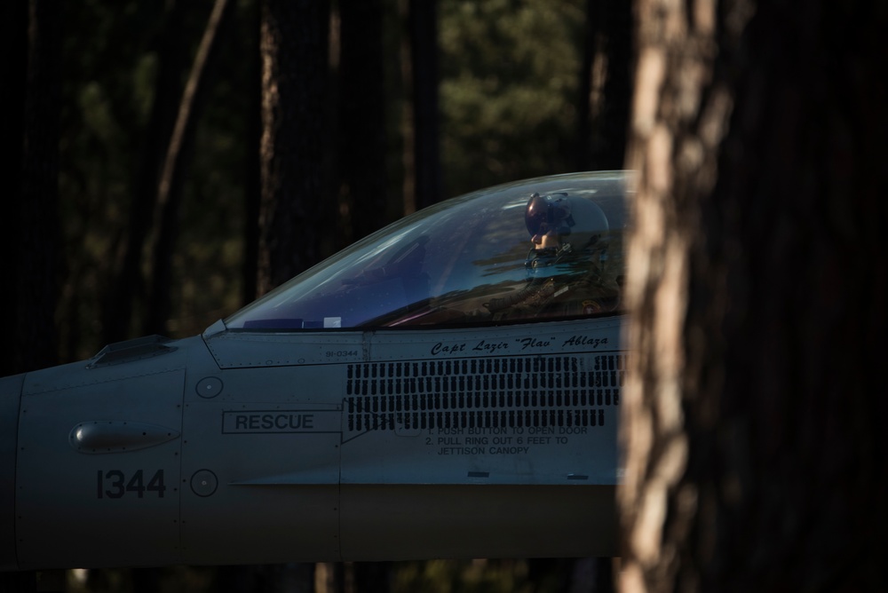 Flying Training Deployment in Portugal
