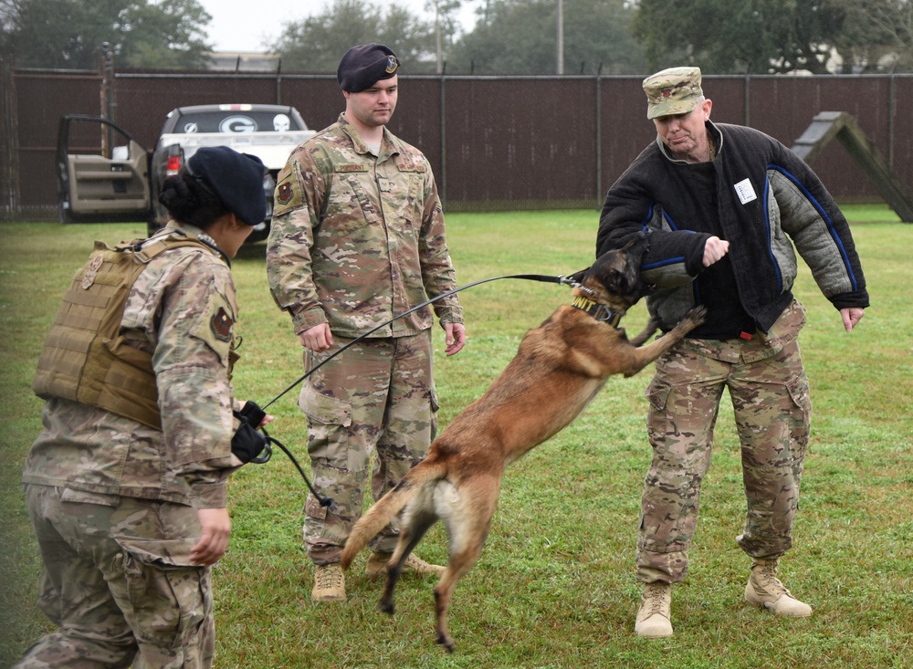 Defenders host 81st SFS Military Working Dog Kennel Expo
