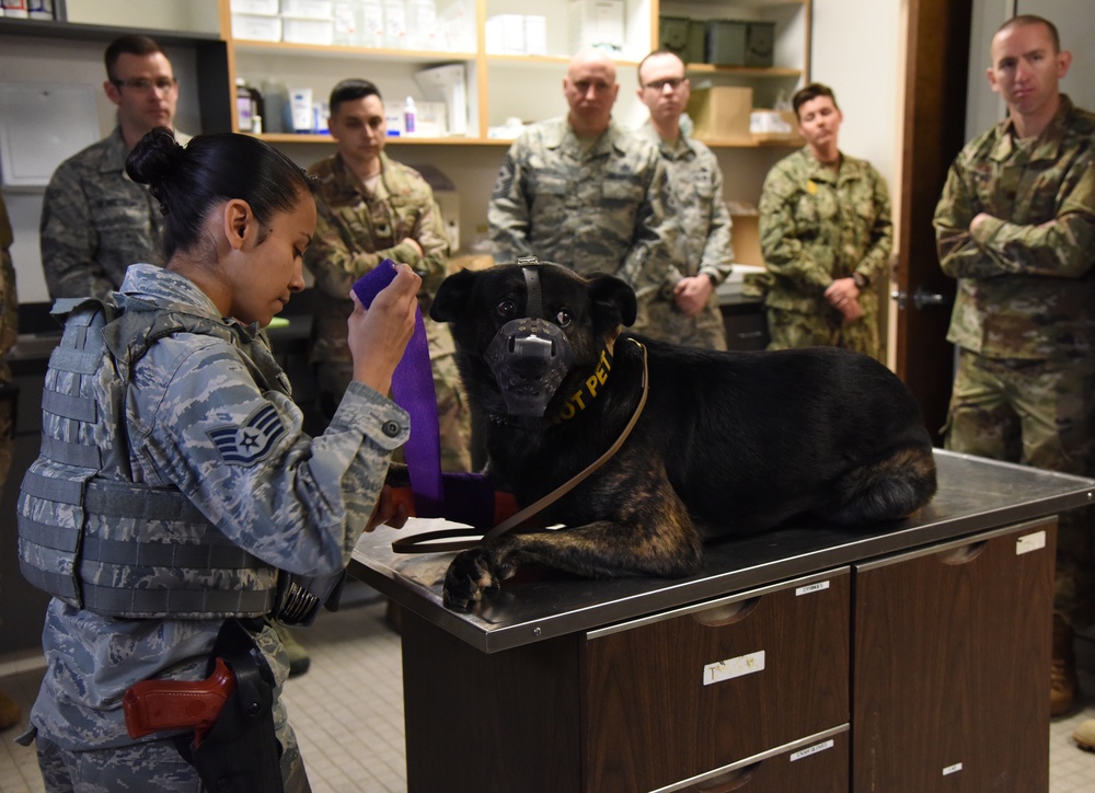 Defenders host 81st SFS Military Working Dog Kennel Expo