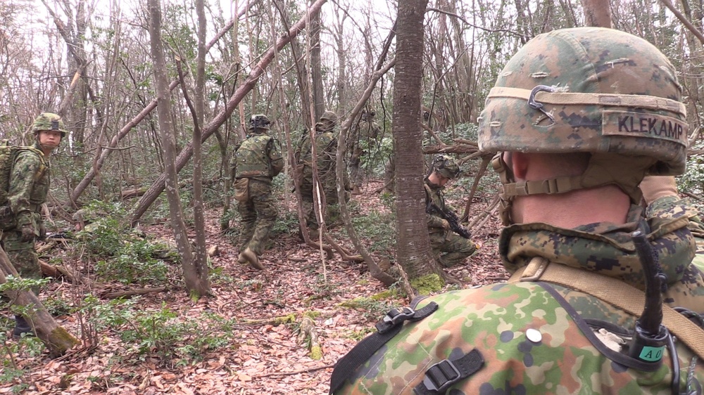 BLT 1/4 Marines conduct counterattack operations during Exercise Forest Light