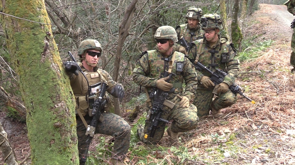 BLT 1/4 Marines conduct counterattack operations during Exercise Forest Light