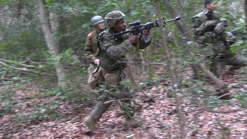 BLT 1/4 Marines conduct counterattack operations during Exercise Forest Light