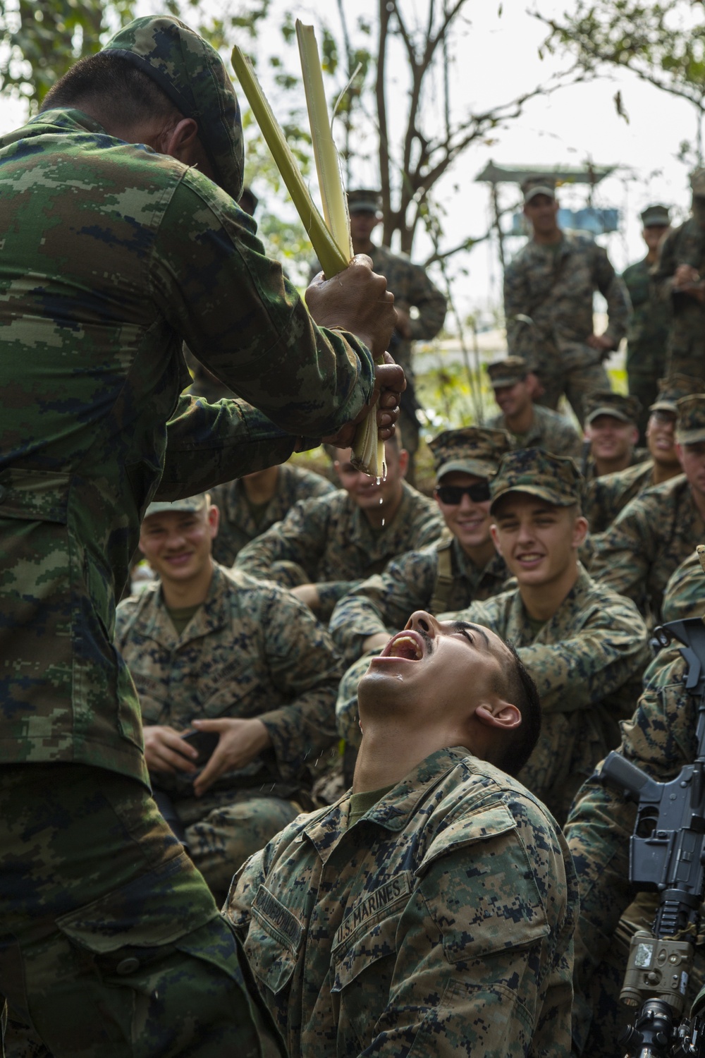 Cobra Gold 19: U.S. and Royal Thai Marines get a taste for jungle survival training