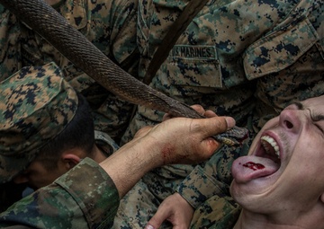 Cobra Gold 19: U.S. and Royal Thai Marines get a taste for jungle survival training