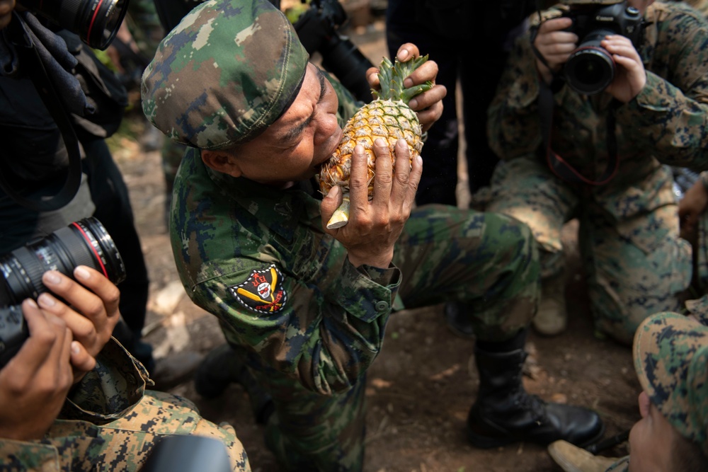 Cobra Gold 19: US and Royal Thai Marines get a taste for jungle survival training