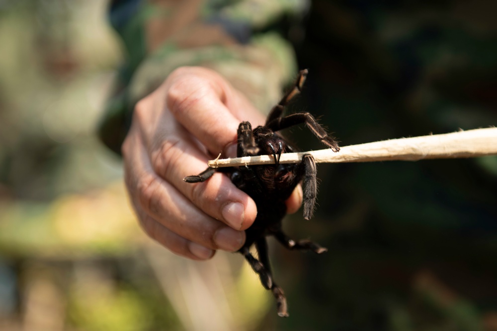 Cobra Gold 19: US and Royal Thai Marines get a taste for jungle survival training