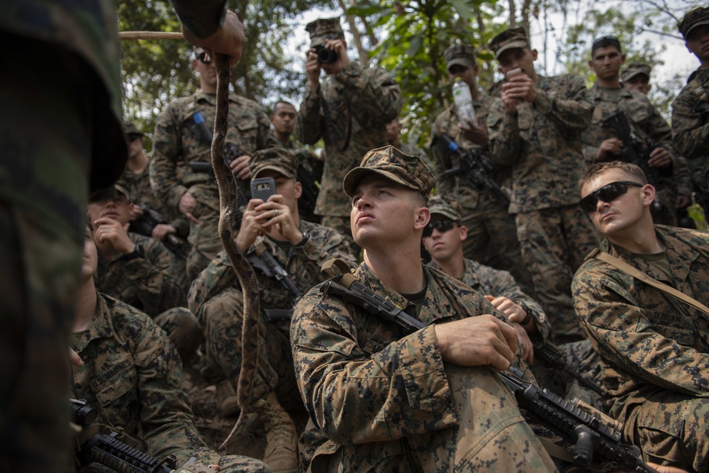 Cobra Gold 19: US and Royal Thai Marines get a taste for jungle survival training