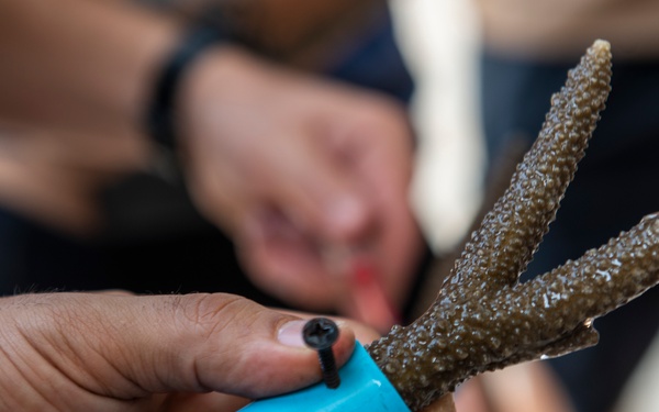 Cobra Gold 19: U.S. and Royal Thai Navy denizens of the deep