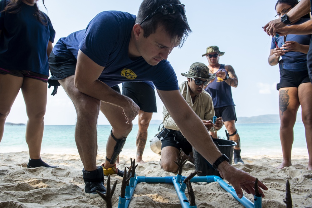 Cobra Gold 19: U.S. and Royal Thai Navy denizens of the deep
