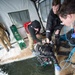 Divers Participate in Ice Diving Training