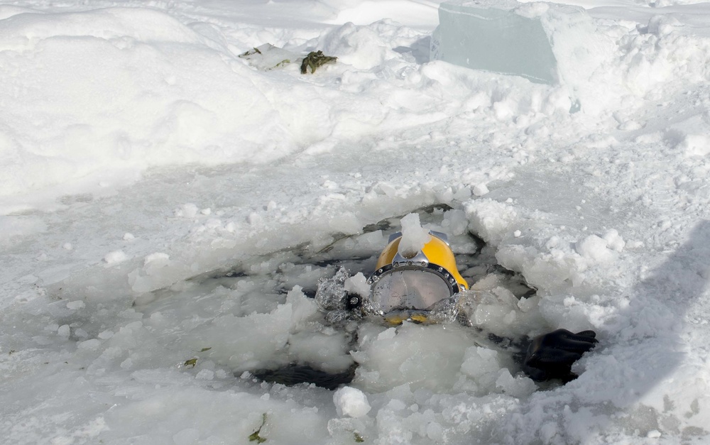 Divers Participate in Ice Diving Training