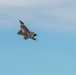 F-22 Raptor Demo