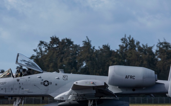 The Hogs have landed