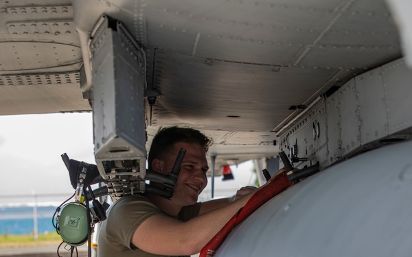 The Hogs have landed