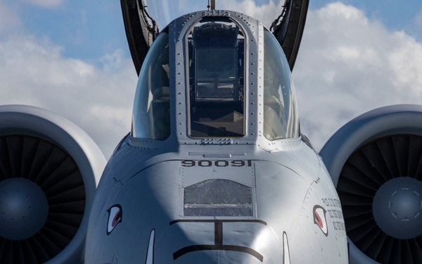 The Hogs have landed