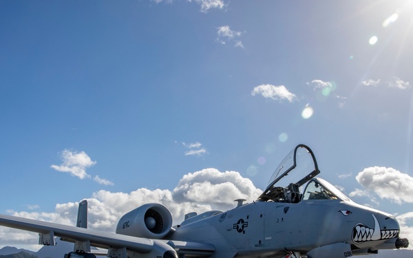 The Hogs have landed