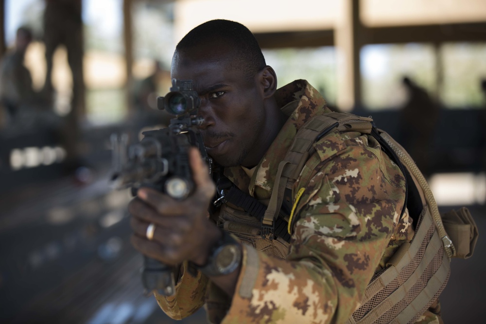 Malian soldier aims