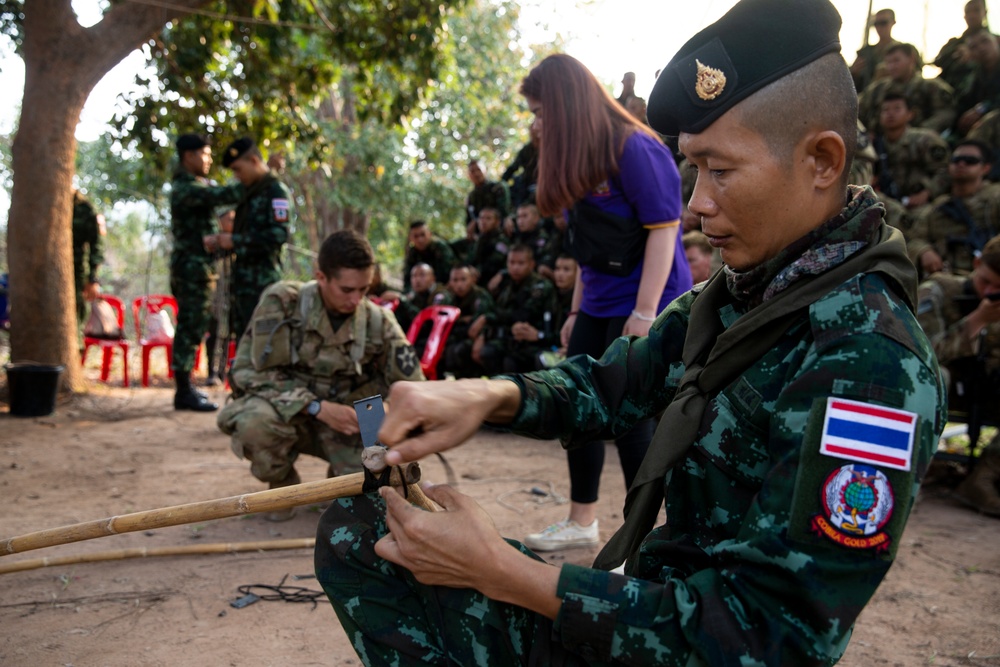 Cobra Gold 19 Communications Class