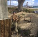 Seabees Support U.S. Coast Guard