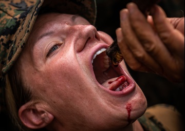 Cobra Gold 19: Royal Thai, US Marines learn essential jungle survival skills at Ban Chan Krem