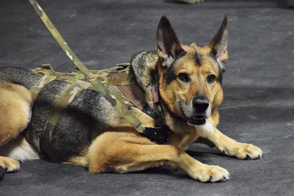 Journey continues for Fort Drum military working dog handler, injured during deployment