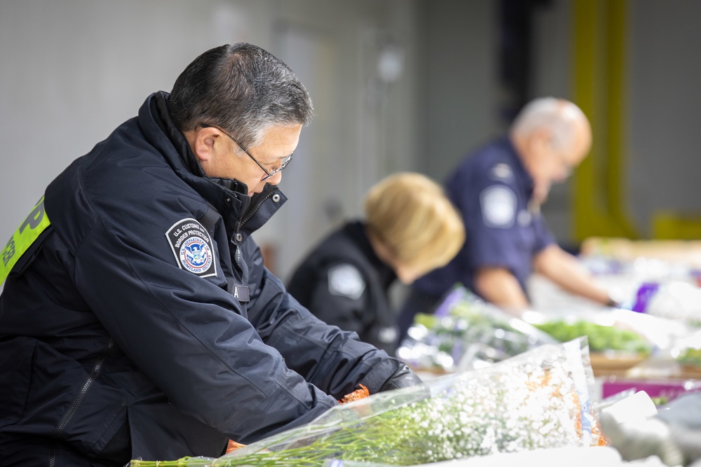 CBP agriculture specialists inspect cut flowers