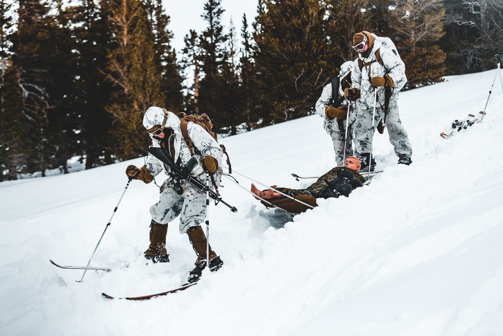 Winter Mountain Leaders Course