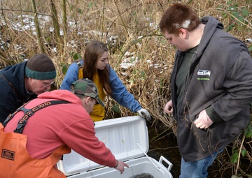 NAVSUP FLC Puget Sound Fuel Department Hosts Salmon Release