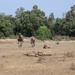 COBRA GOLD 19: U.S. and Thai soldiers share battle drills