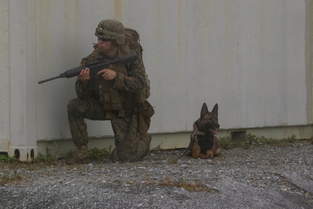 Military Policemen conduct MOUT Training