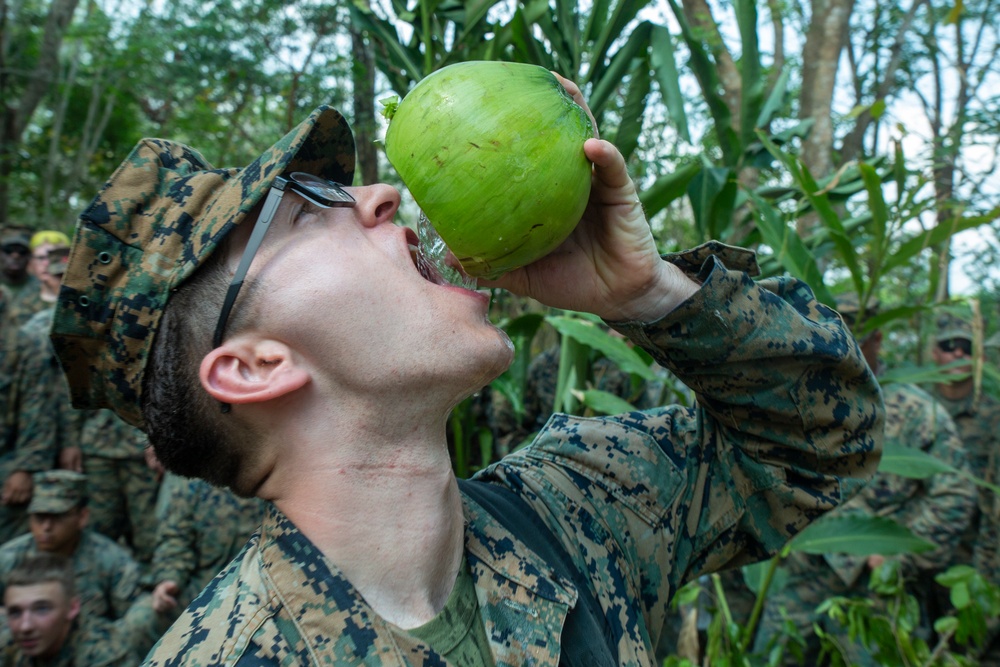 Cobra Gold 19:  31st MEU Marines participate in Jungle Survival Training