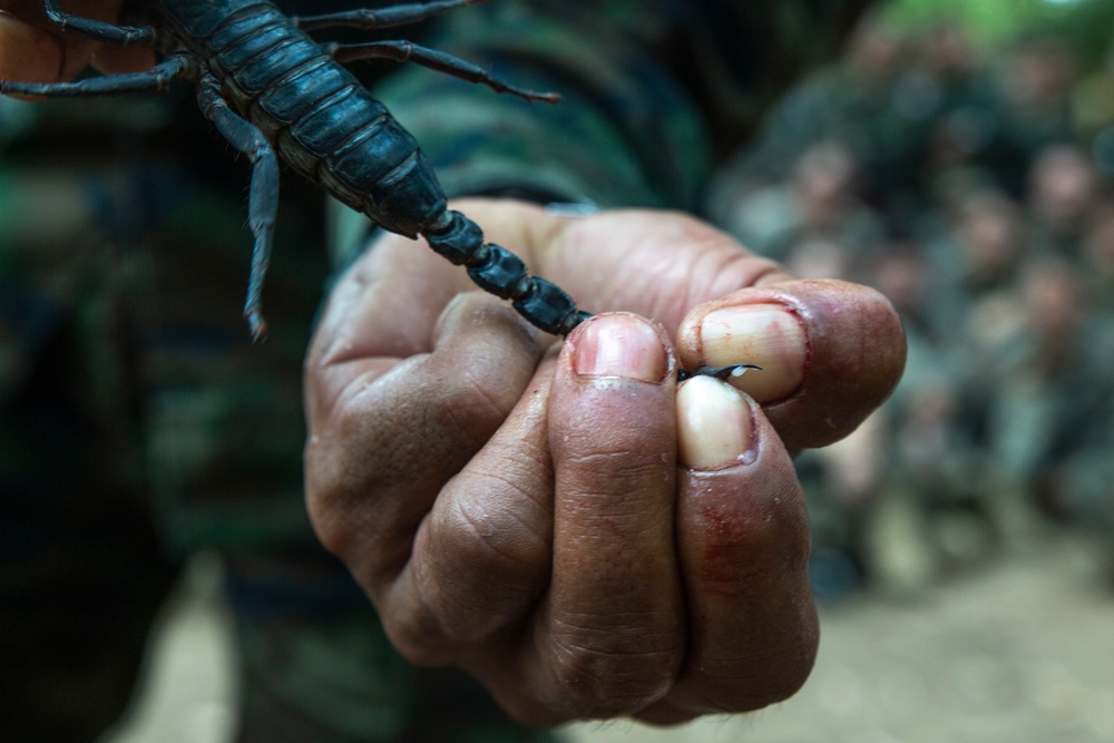 Cobra Gold 19:  31st MEU Marines participate in Jungle Survival Training