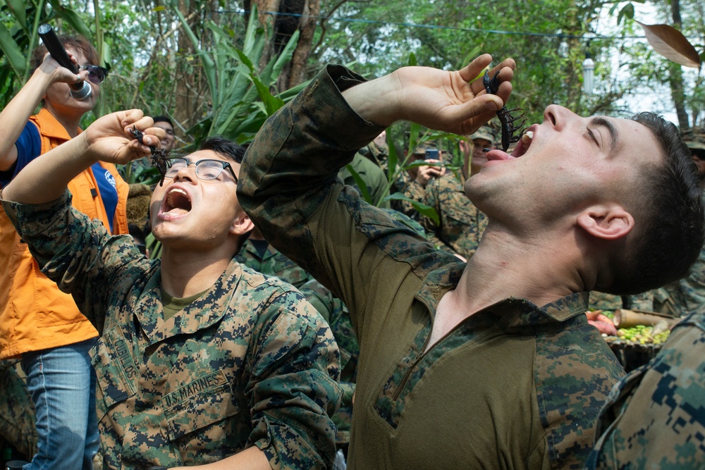 Cobra Gold 19:  31st MEU Marines participate in Jungle Survival Training