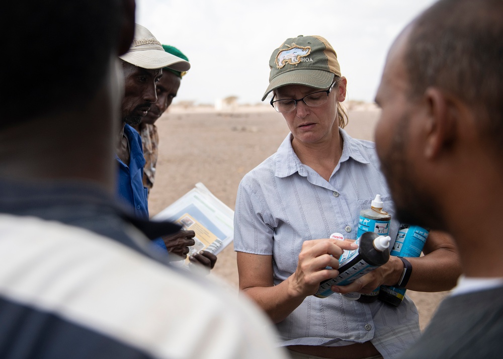 U.S. Army veterinarians visit remote Djibouti village to promote herd health