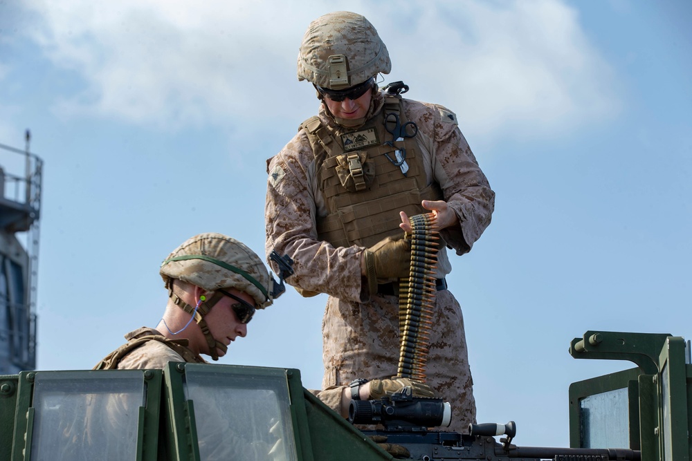 Inflatable target shooting exercise