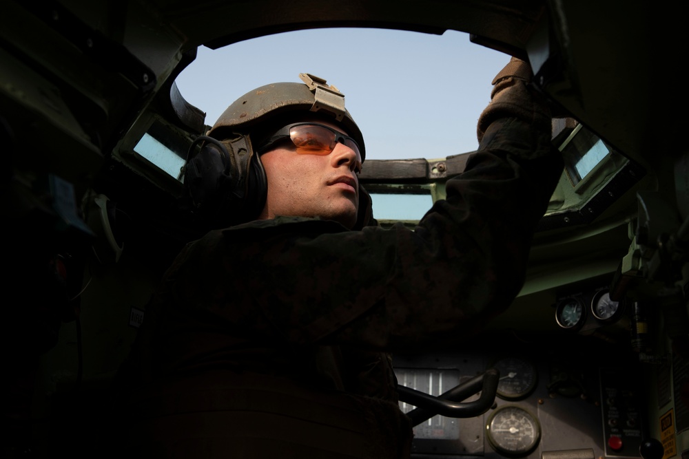 Cobra Gold 19: US Marines of the 31st MEU prepare for combined arms live-fire exercise