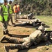 HHC AFSOUTH BN-Qualification Range