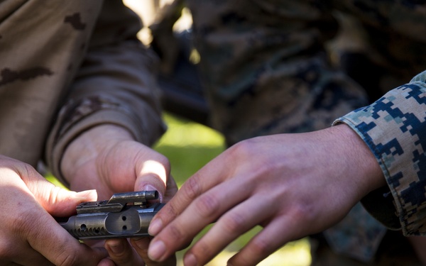 U.S. and Spanish Marines Train in SDR