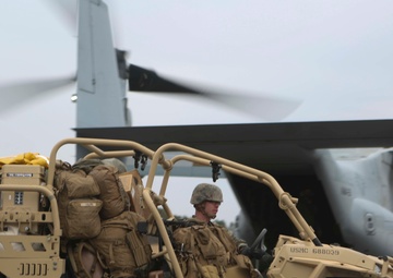 Marines exercise airfield security tactics