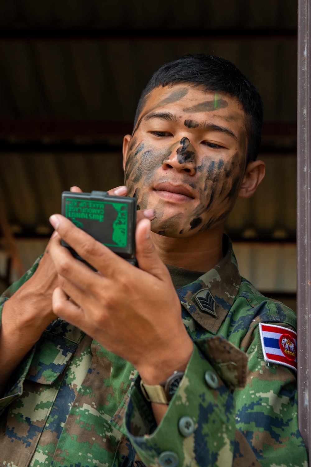 Cobra Gold 19: Royal Thai, US Marines conduct combined arms live fire exercise