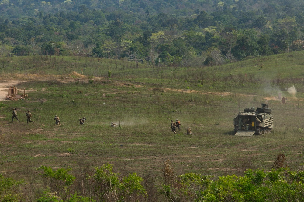 Cobra Gold 19: Royal Thai, U.S. Marines conduct combined arms live fire exercise