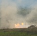 Cobra Gold 19: Royal Thai, U.S. Marines conduct combined arms live fire exercise