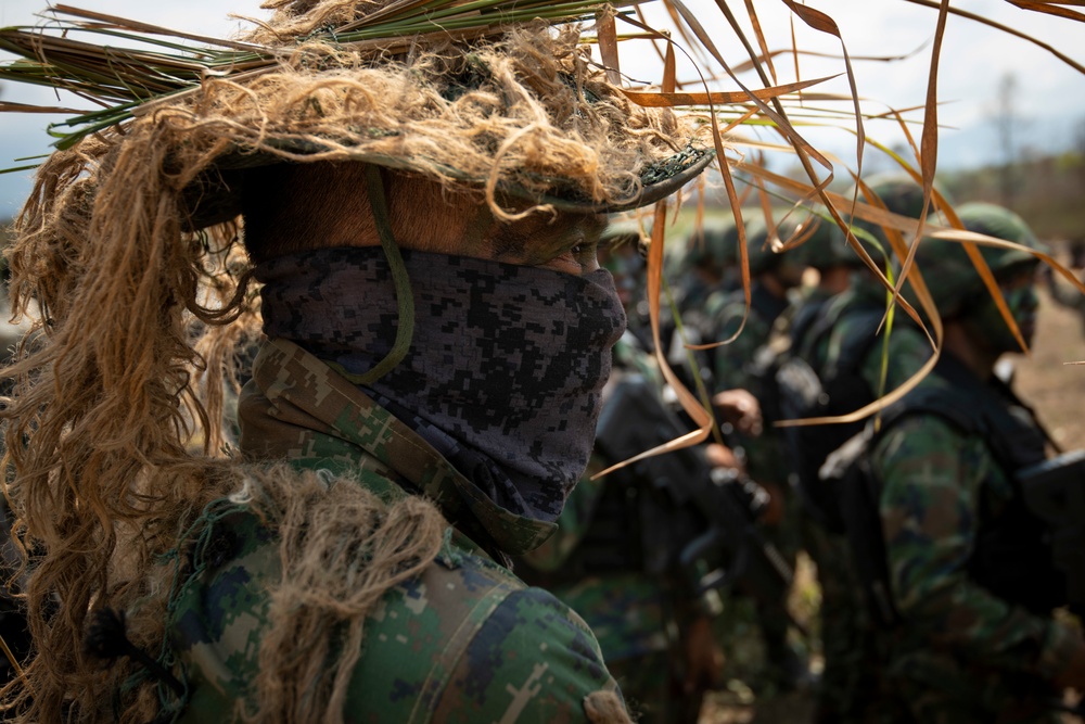 Cobra Gold 19: Royal Thai, US Marines conduct combined arms live-fire exercise