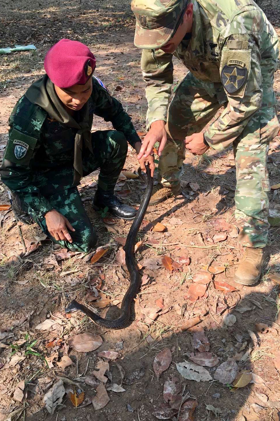 Soldiers hone multiple skills during Cobra Gold