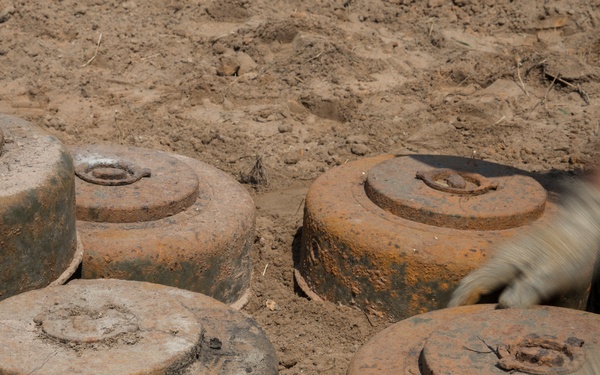 Save a life, Save a family | Marines with 9th ESB assist Royal Thai Armed Forces in mine disposal