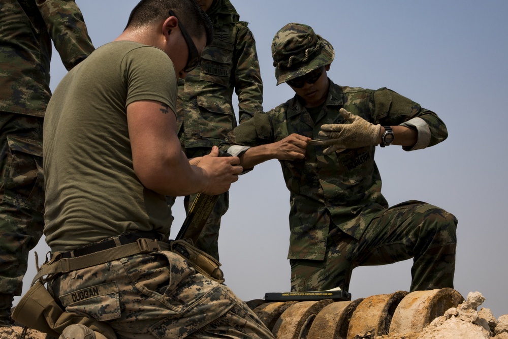 Save a life, Save a family | Marines with 9th ESB assist Royal Thai Armed Forces in mine disposal