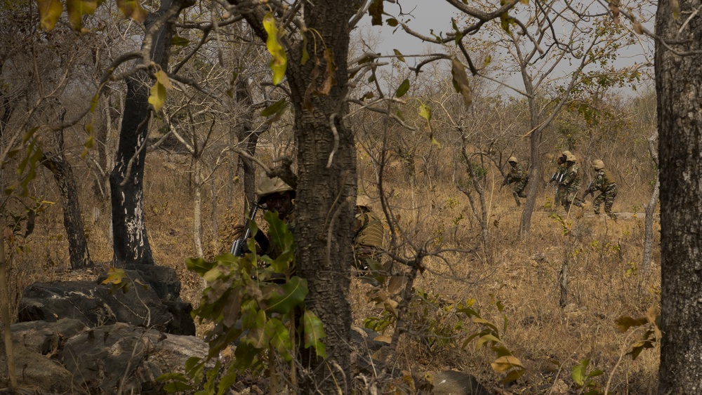 Nigerien soldiers move into position