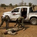 Nigerien and Belgian special operations soldiers collect evidence