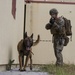 Marine K-9s sniff out hostiles